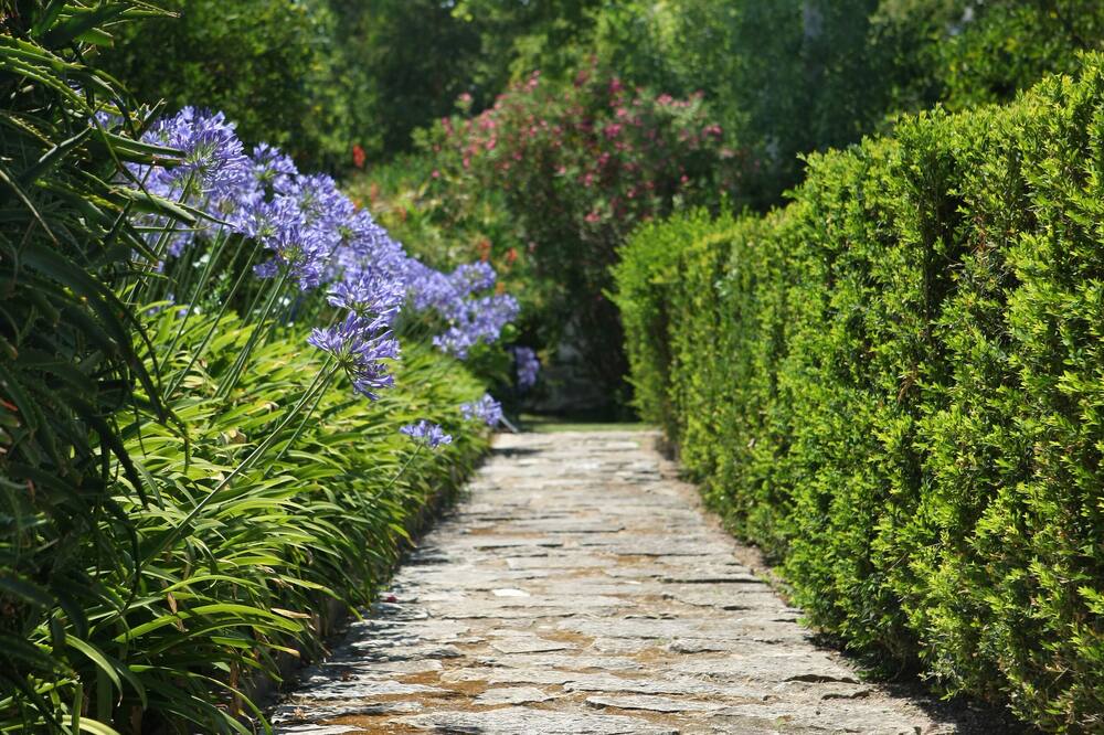 Quinta Da Praia Das Fontes 写真