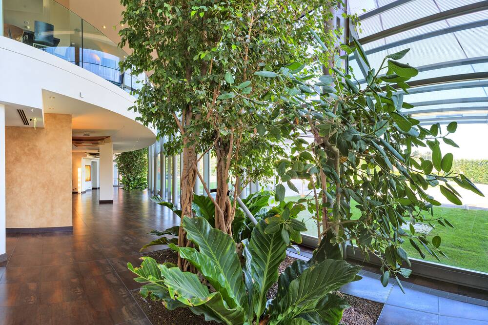 ホテル クルーズ 写真