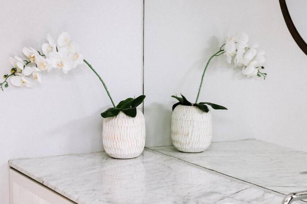 メノ ハウス 写真