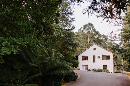 Toorongo River Chalets 写真