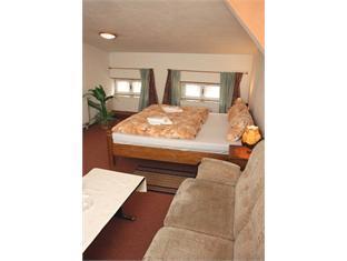 Hotel Sokolský Dům 写真