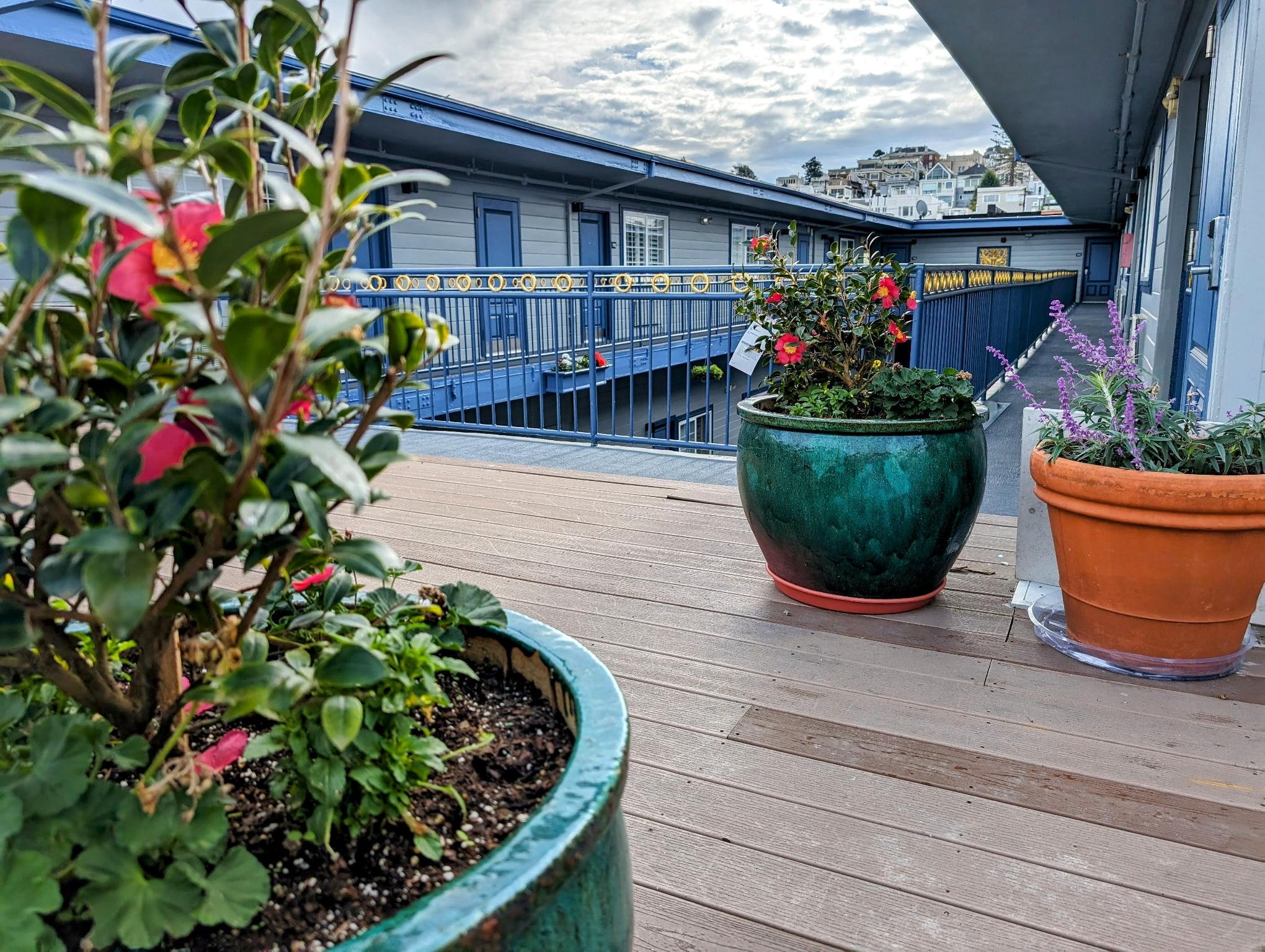 シグネチャーインサンフランシスコマリーナディストリクト 写真