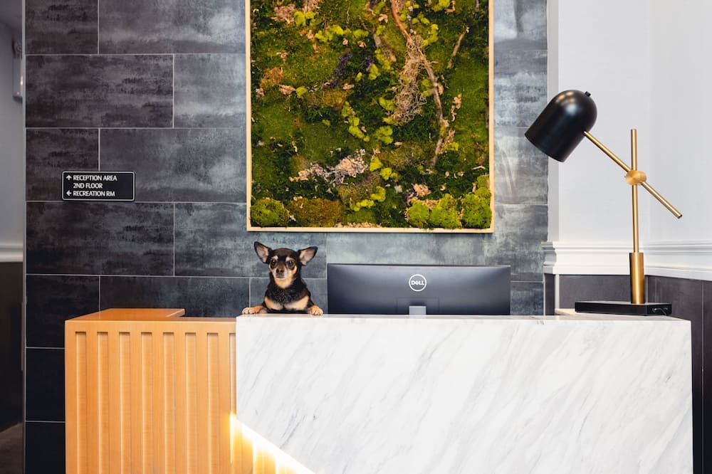 ザ モダニスト ホテル 写真