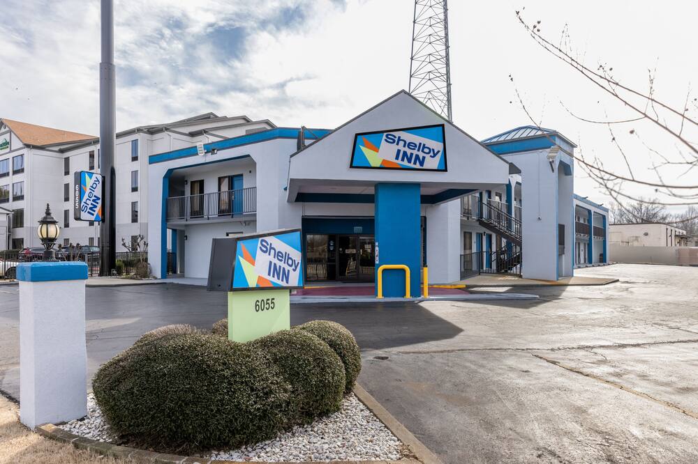 シェルビー イン 写真