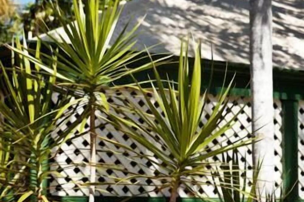 マックアルパイン ハウス ホテル 写真