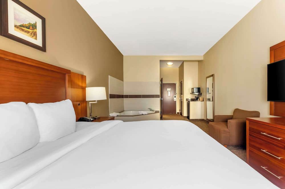 コンフォート  イン & スイーツ ポーター ニア インディアナ デューンズ 写真