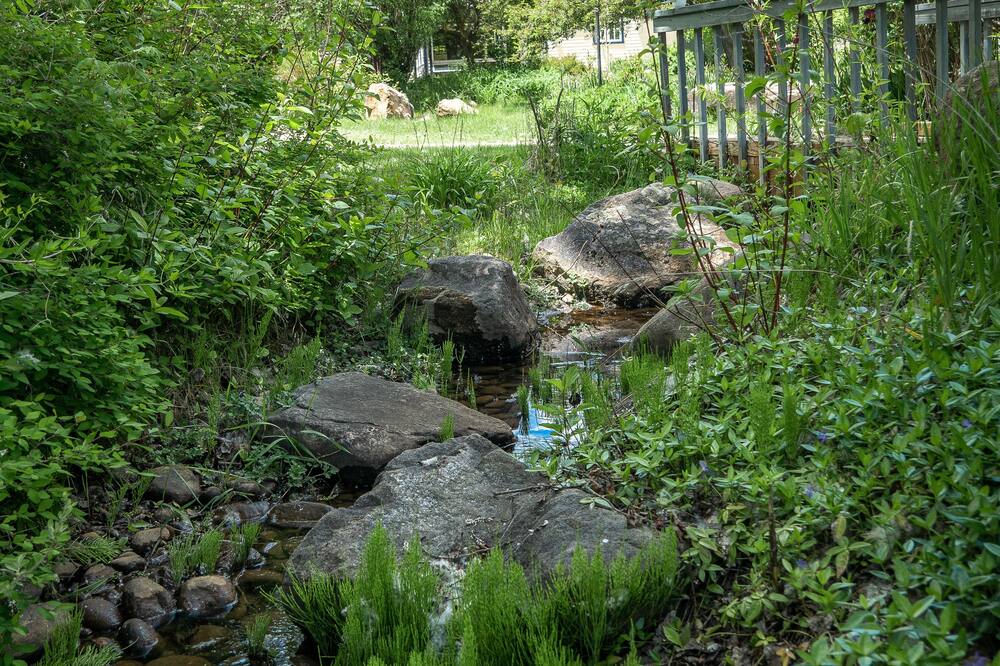 アップル オーチャード イン 写真