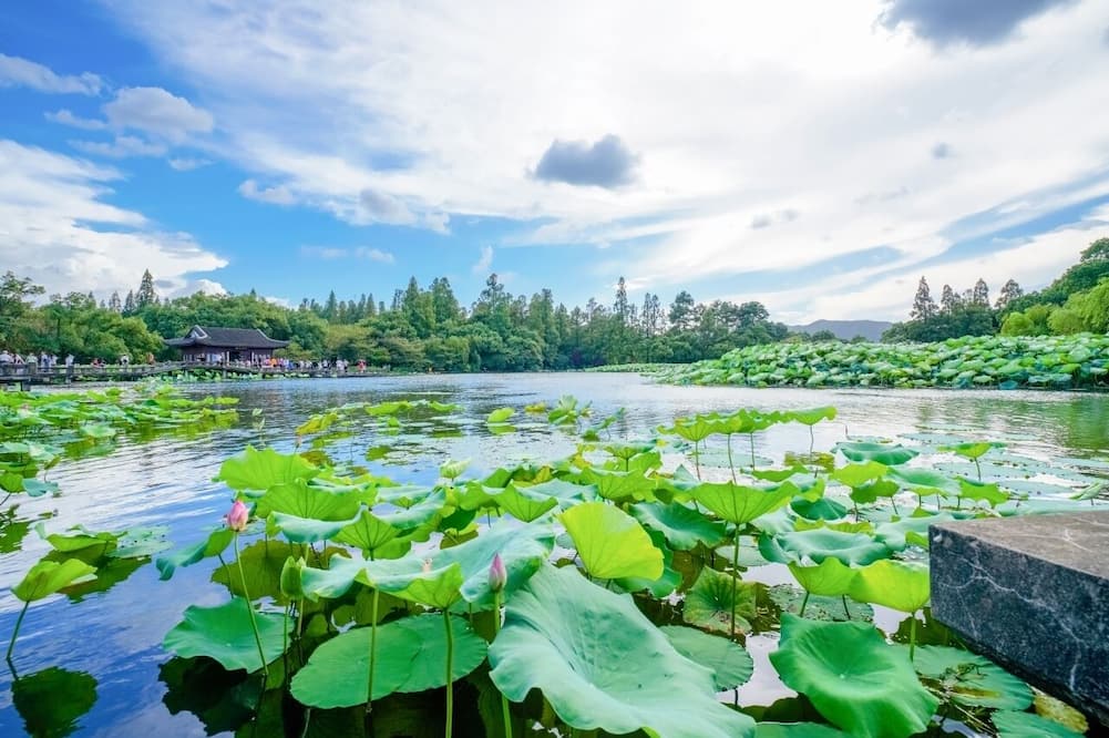 ハンヂョウ ソフィテル ウエストレイク ホテル 写真