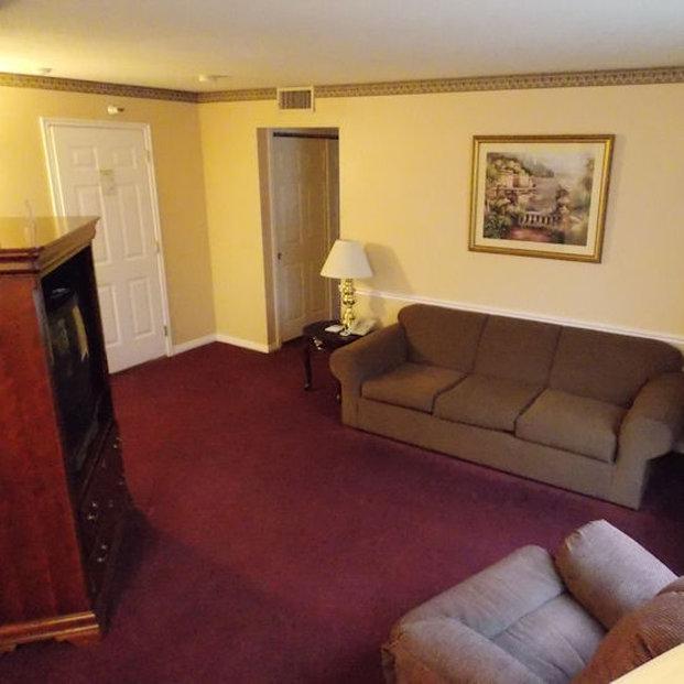 ザ キンボール 写真