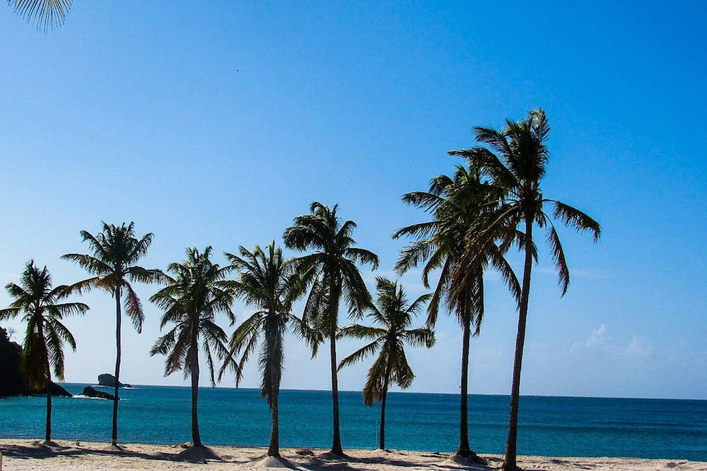 Royalton Saint Lucia, An Autograph Collection All-Inclusive Resort 写真