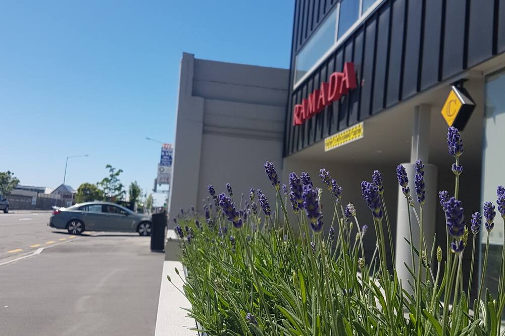 ラマダ スイーツ バイ ウィンダム クライストチャーチ シティ 写真