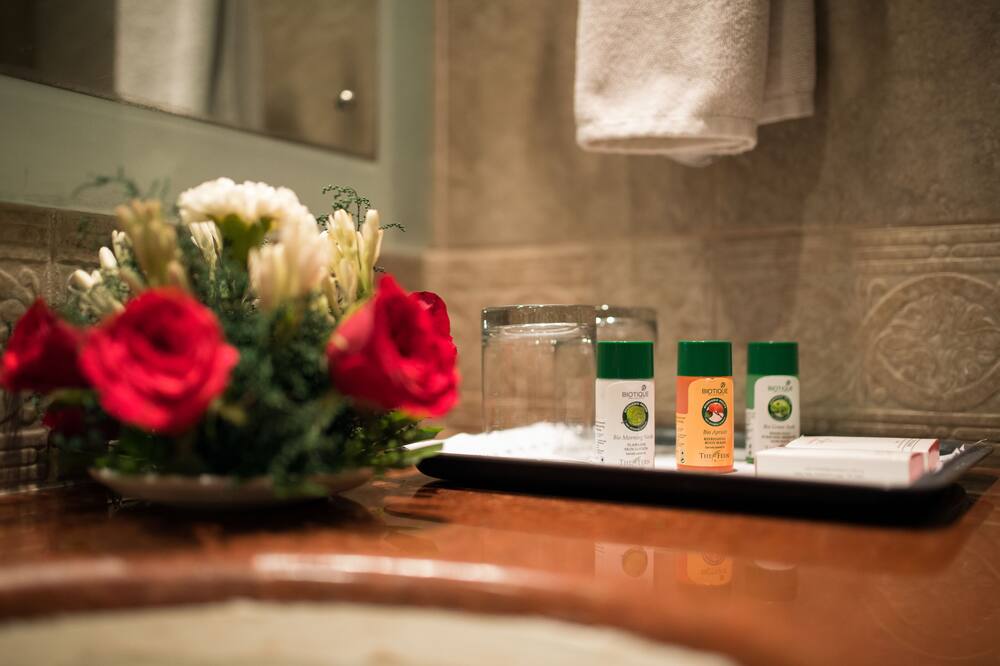 ハワード プラザ ザ ファーン アン エコテル ホテル アグラ 写真