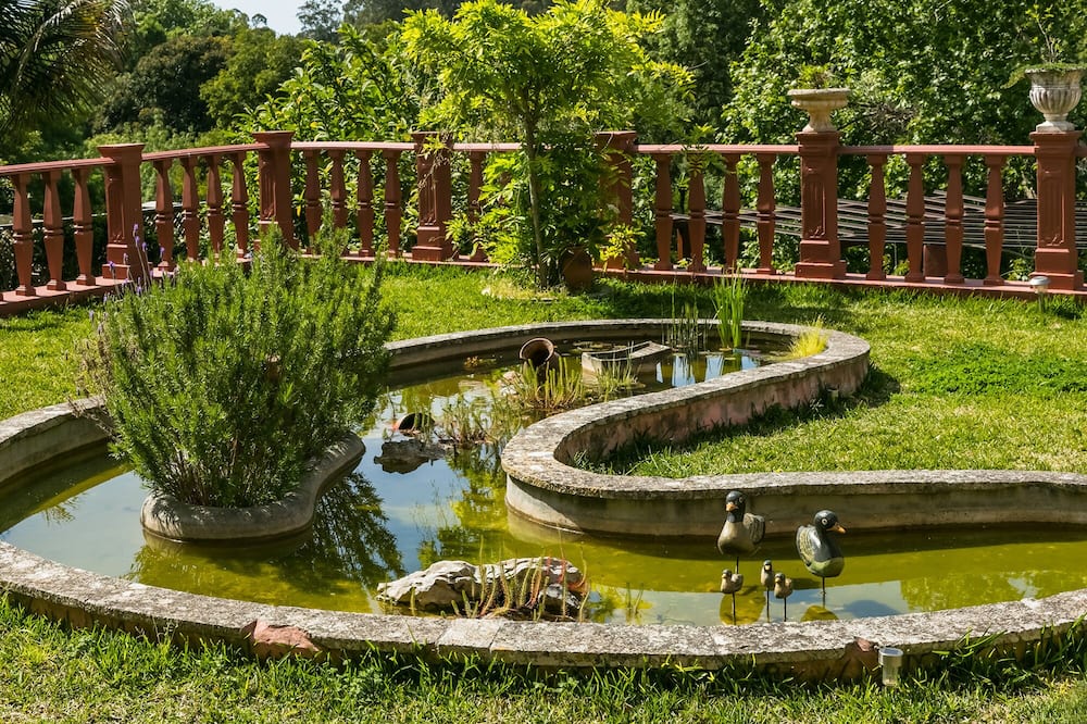 シャレー サウダージ 写真