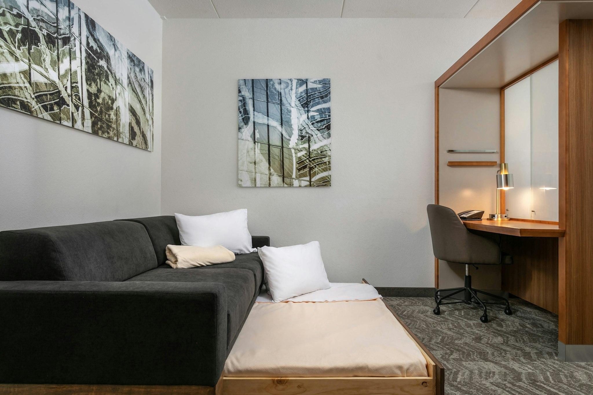 SpringHill Suites by Marriott Chattanooga Downtown/Cameron Harbor 写真
