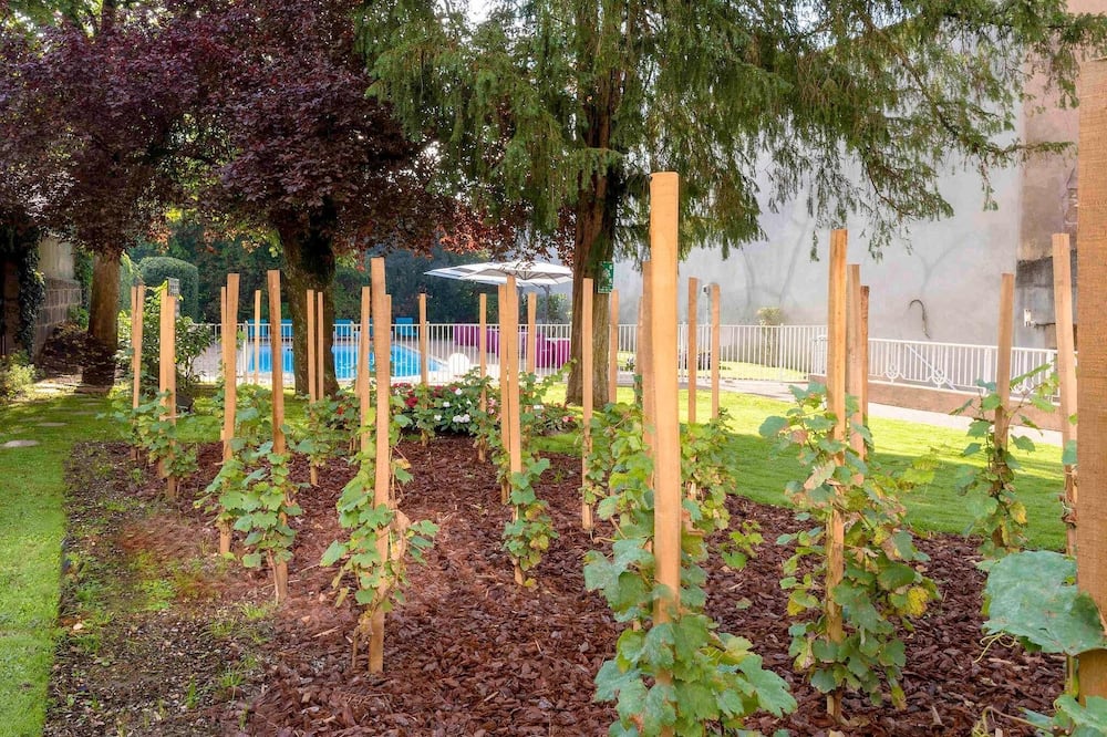 イビス スタイルズ マコン サントル 写真