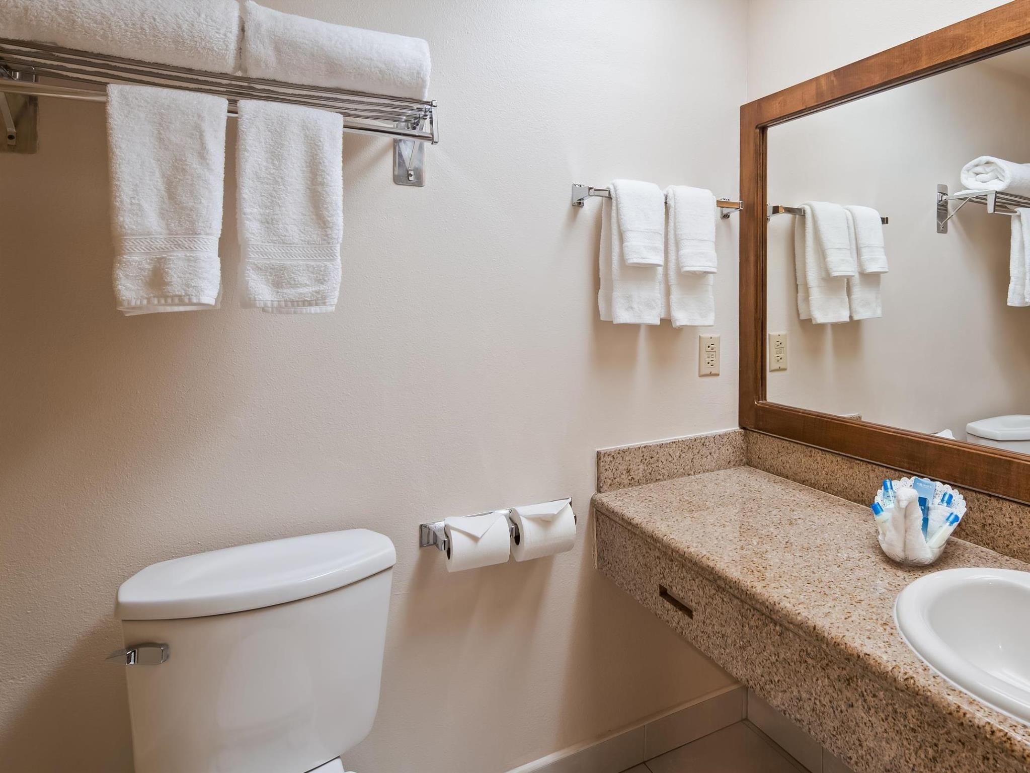 ベスト ウエスタン プラス パーム デザート リゾート 写真