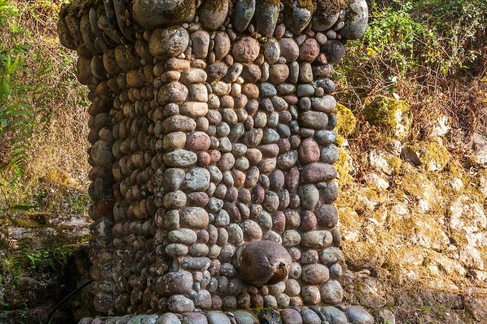 ホテル コロンボ 写真