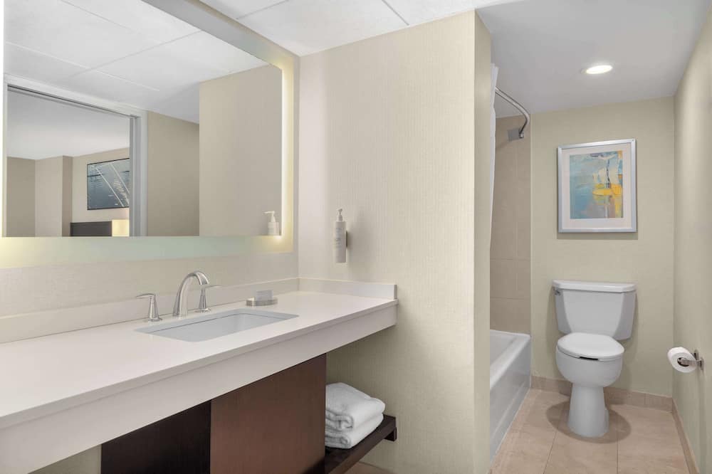 ハンプトンイン＆スイーツダウナーズグローブシカゴ 写真