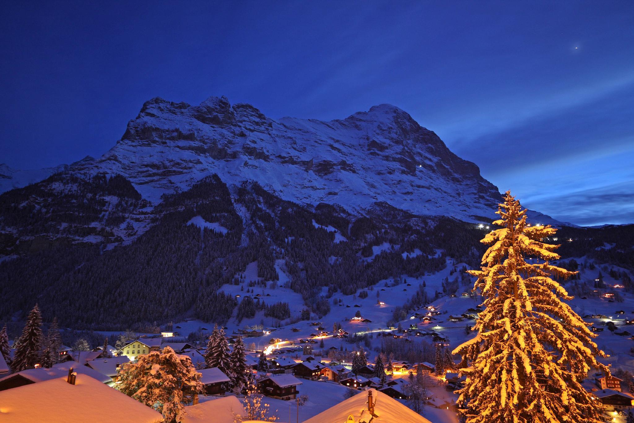 ベルベデレ スイス クオリティ ホテル 写真