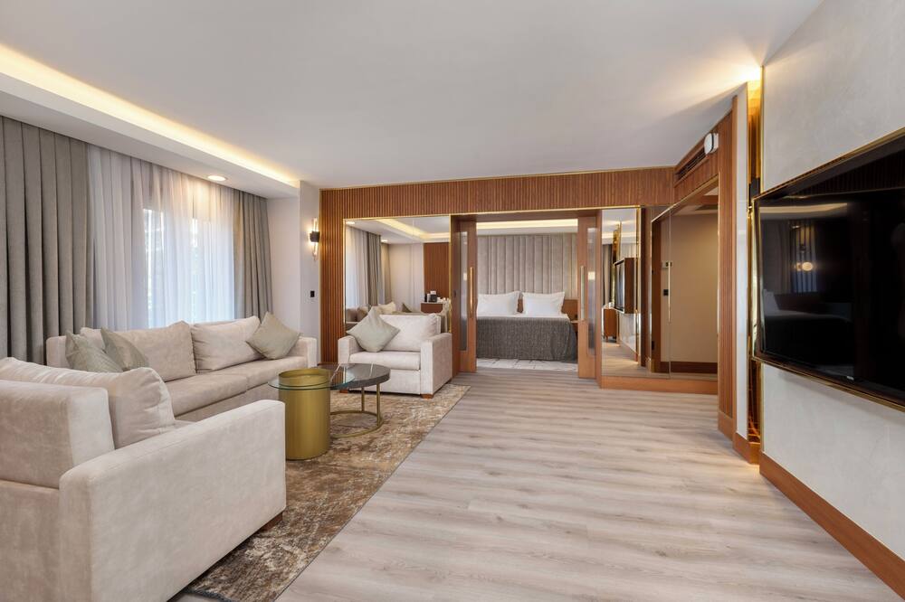 Limak Ambassadore - Special Class 写真