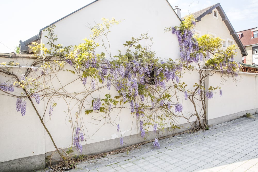 Garni Boutique Hotel Arta 写真