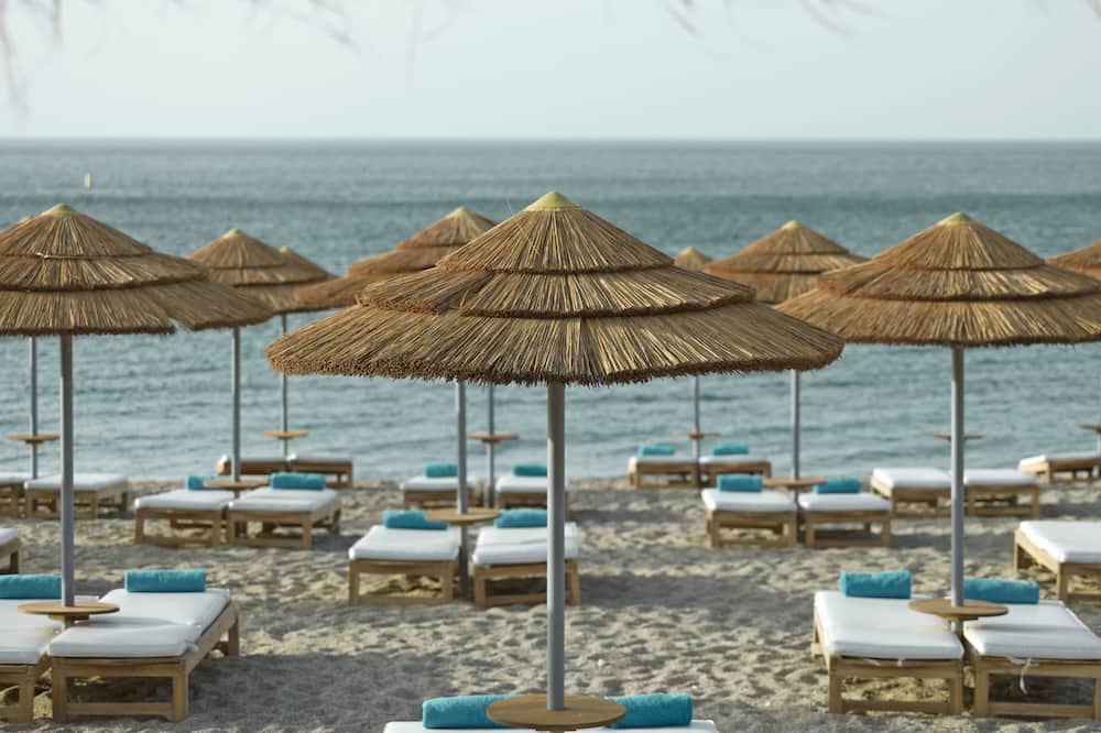 ミッシス セレクション ブルー ドームス 写真