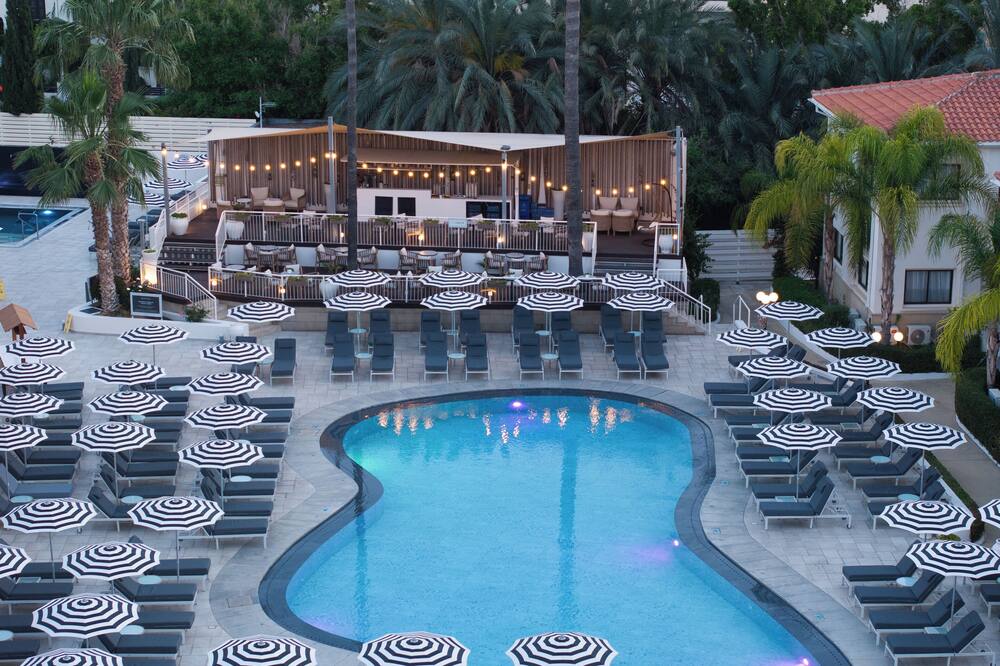 The King Jason 写真