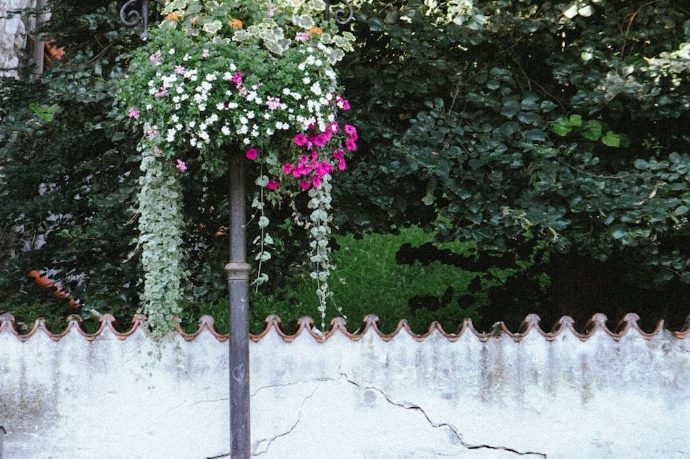 オールド キングス デザイン ホステル 写真