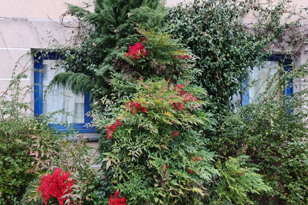 ジオグラプテル パリ ロワシー CDG エアポート 写真