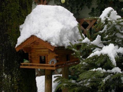 Hotel & Hostel Sandwirt 写真