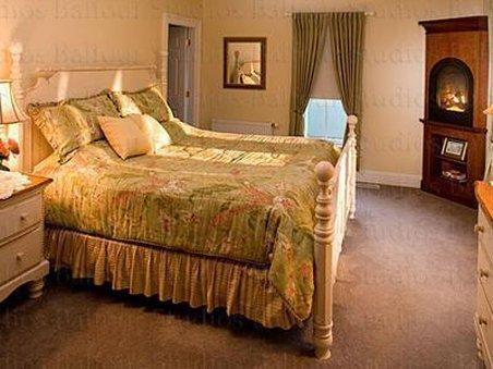 プリムローズ イン 写真