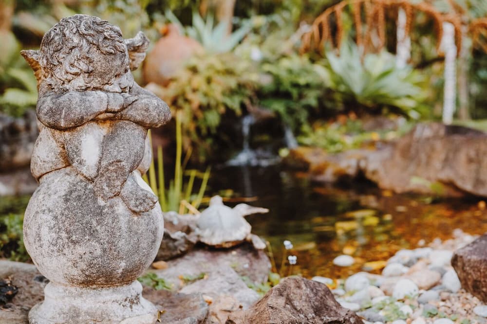 Noosa Valley Manor Luxury B&B 写真