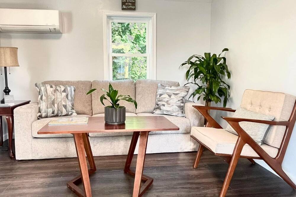 マドックス イン 写真