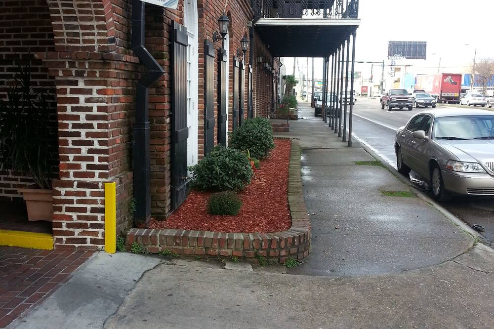 ミッドタウン ホテル - ダウンタウン ニューオーリンズ 写真