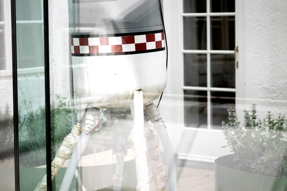 Arthotel Blaue Gans 写真