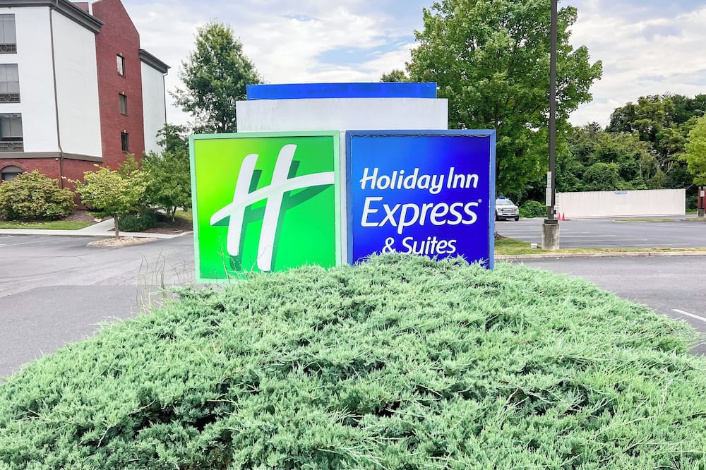 ホリデイ イン エクスプレス ホテル & スイーツ コダック イースト - セビアビル by IHG 写真