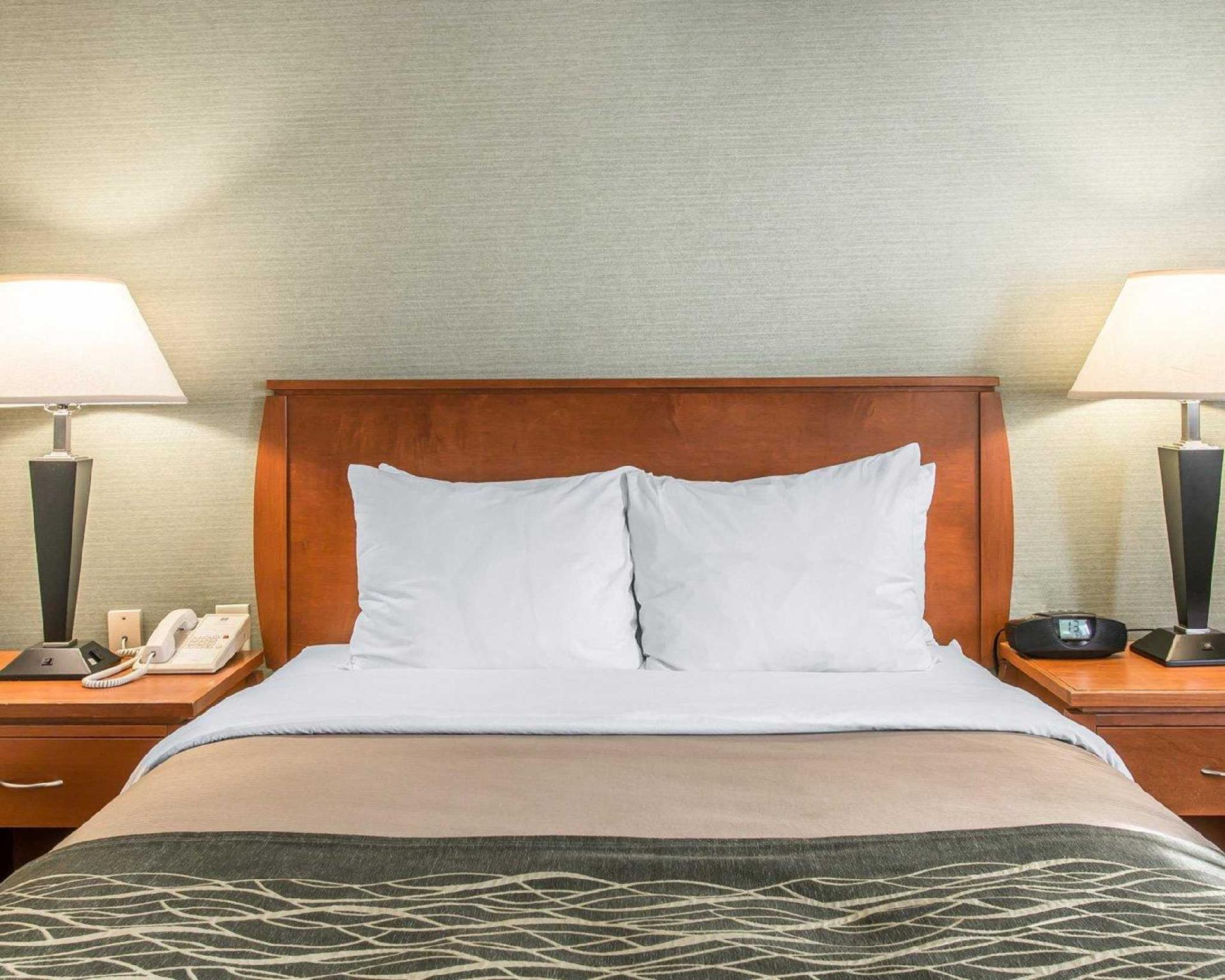 コンフォート イン ニア グリーンフィールド ビレッジ 写真