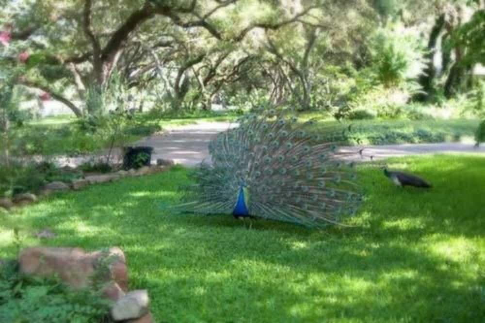 ブリスウッド B&B ランチ 写真