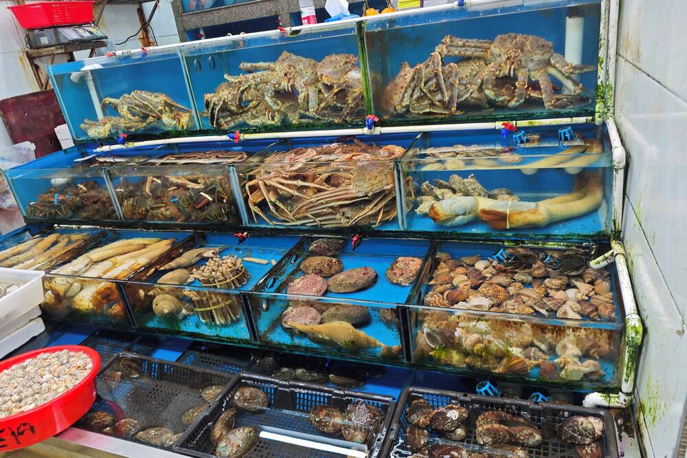 Grade Hotel Shenzhen Shekou Sea World 写真