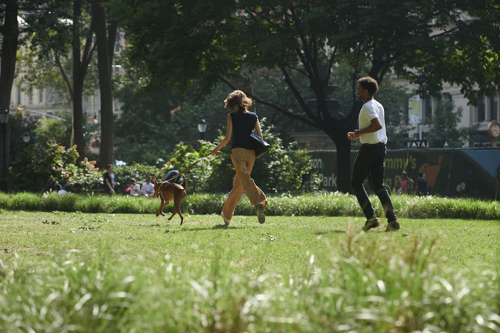 ザフィフスアベニューホテル 写真