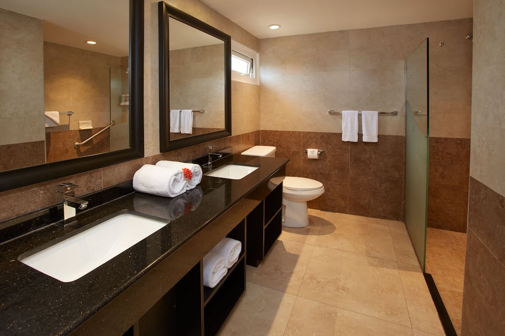 ディビ アルーバ オール インクルーシブ 写真