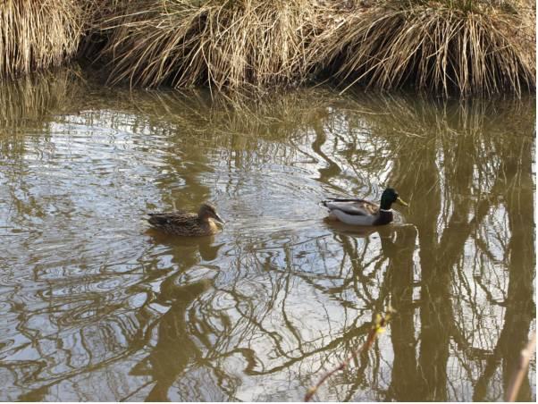 Morag's Lodge 写真