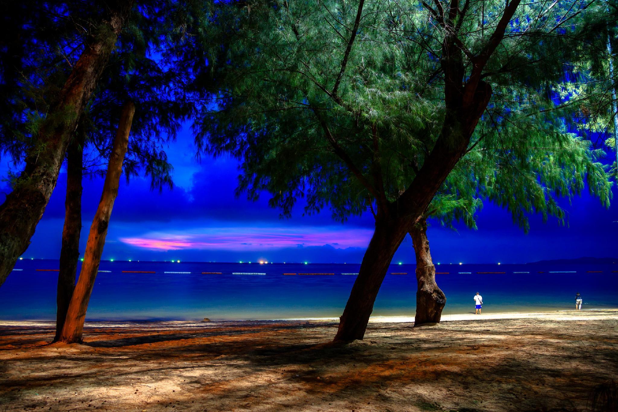 ラビット リゾート【SHA Plus+認定】 写真