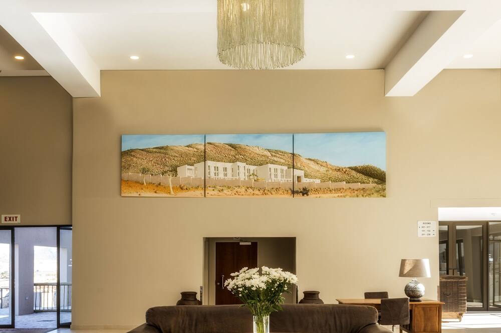 スプリングボック イン 写真