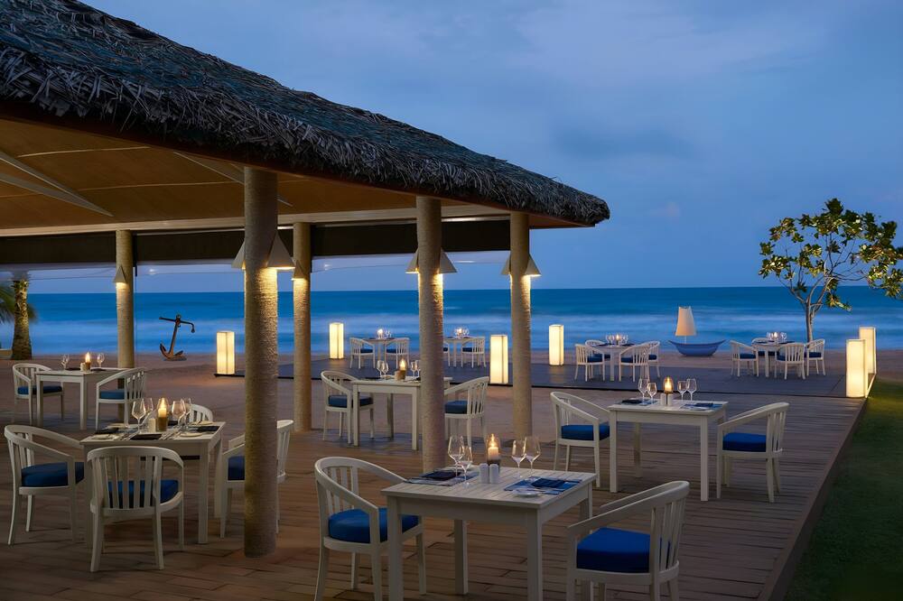 トリンコ ブルー バイ シナモン 写真