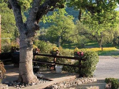 シエラ ロッジ スリー リバーズ 写真