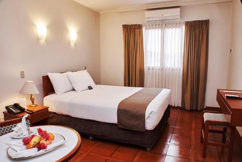 DM Hoteles Nasca 写真