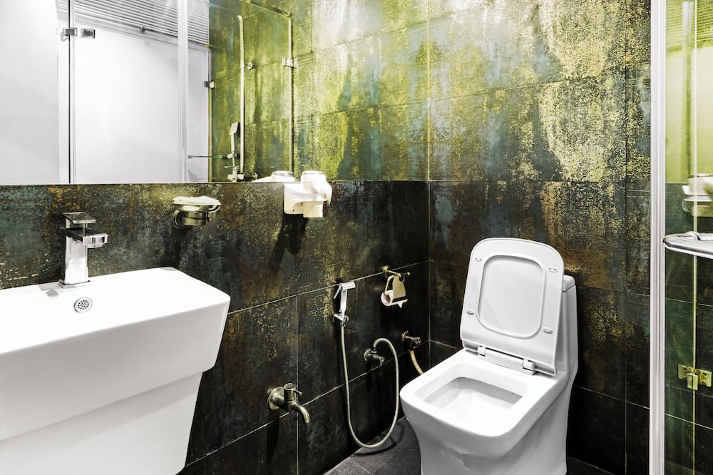 アジャンタ ホテル 写真