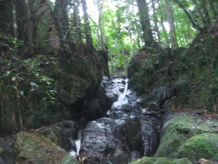 クラウズ メープルトン 写真