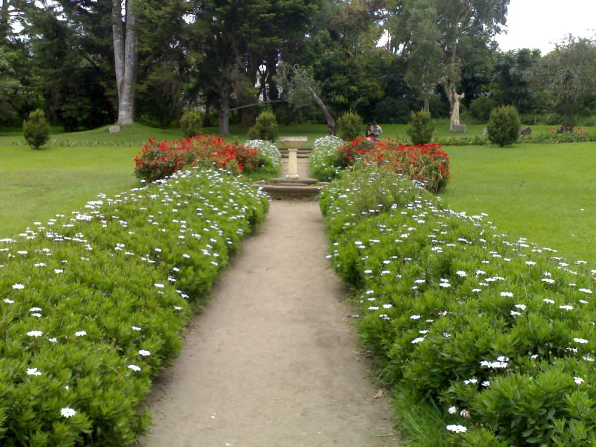 ジェットウィング セントアンドリューズ 写真